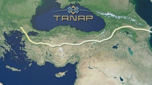 tanap